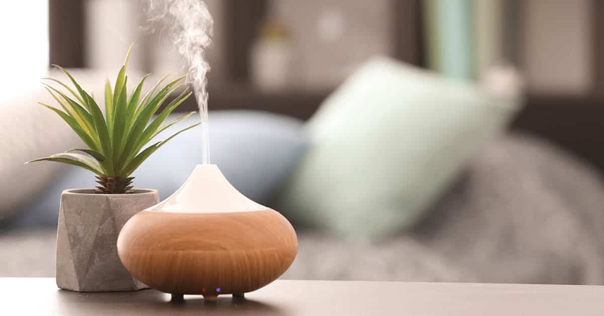 5 Simple Ways to Improve Indoor Air Quality | Living Well Spending Less®