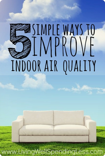 5 Simple Ways To Improve Indoor Air Quality Living Well Spending Less 5 Simple Ways To Improve Indoor Air Quality