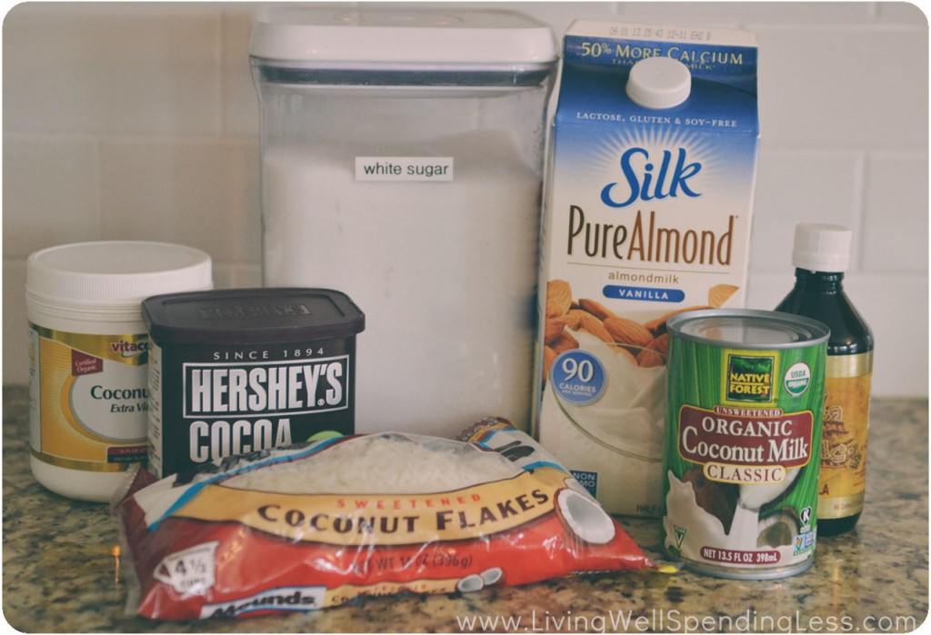 Assemble your ingredients: Cocoa powder, coconut oil, sugar, milk, vanilla, Silk Almond Milk and toasted coconut.