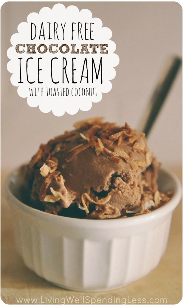 Dairy-Free Chocolate Ice Cream with Toasted Coconut | Homemade Ice Cream | Dairy Free Toasted Coconut Ice Cream | Toasted Coconut Chocolate Chip Nice Cream