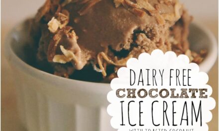 Dairy-Free Chocolate Ice Cream with Toasted Coconut