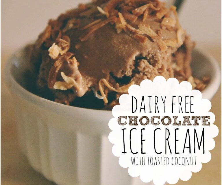 Dairy Free Chocolate Ice Cream With