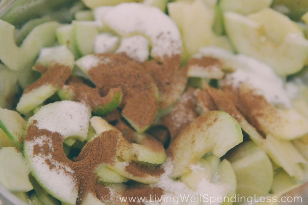 In a large bowl mix the cinnamon, sugar and apples until they're well coated.