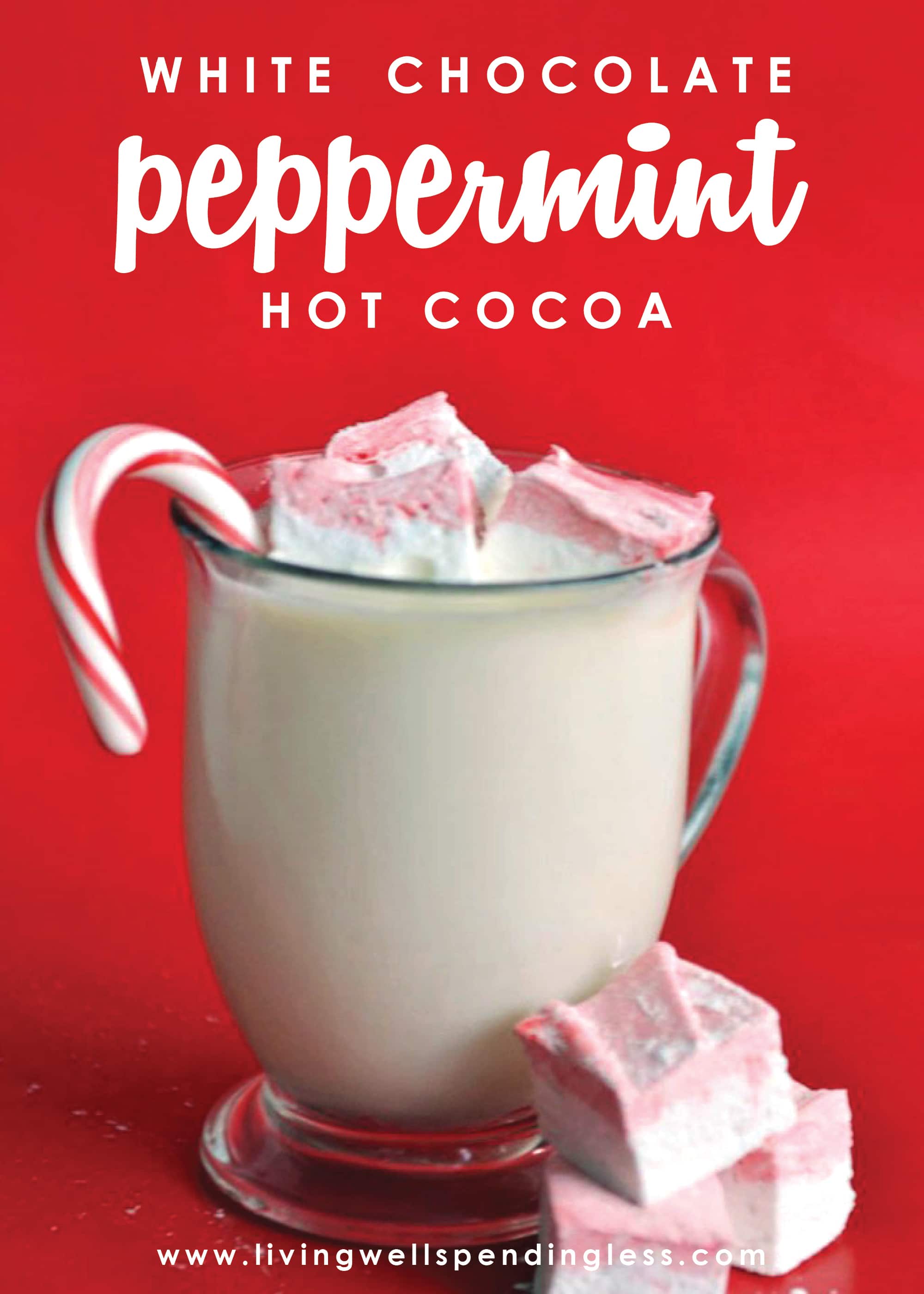 This Homemade White Chocolate Peppermint Hot Cocoa has been declared "the best hot chocolate EVER"! 