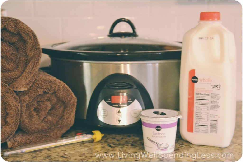 Easy Homemade Yogurt: How I do it with a Thermal Cooker