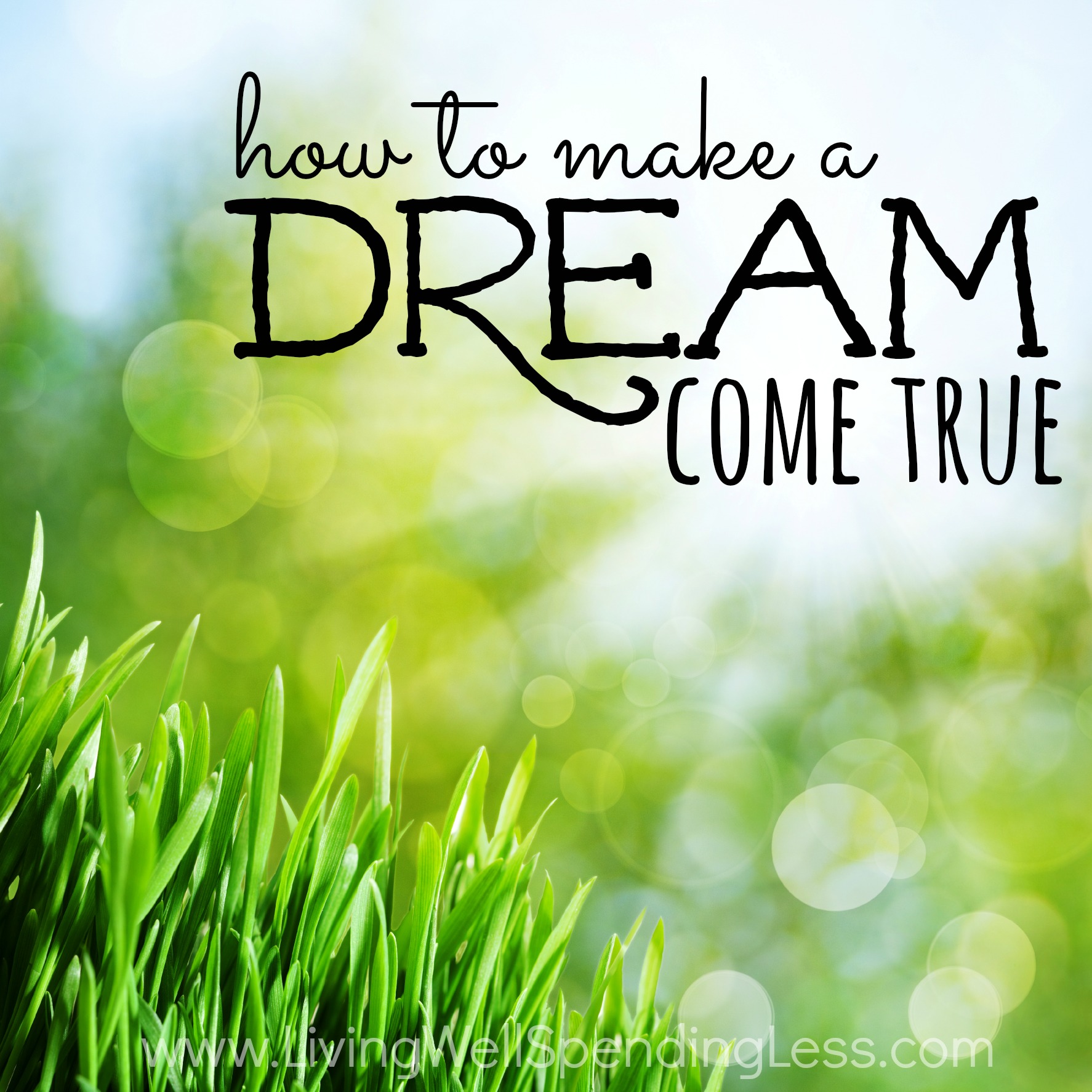 make your dreams come true essay