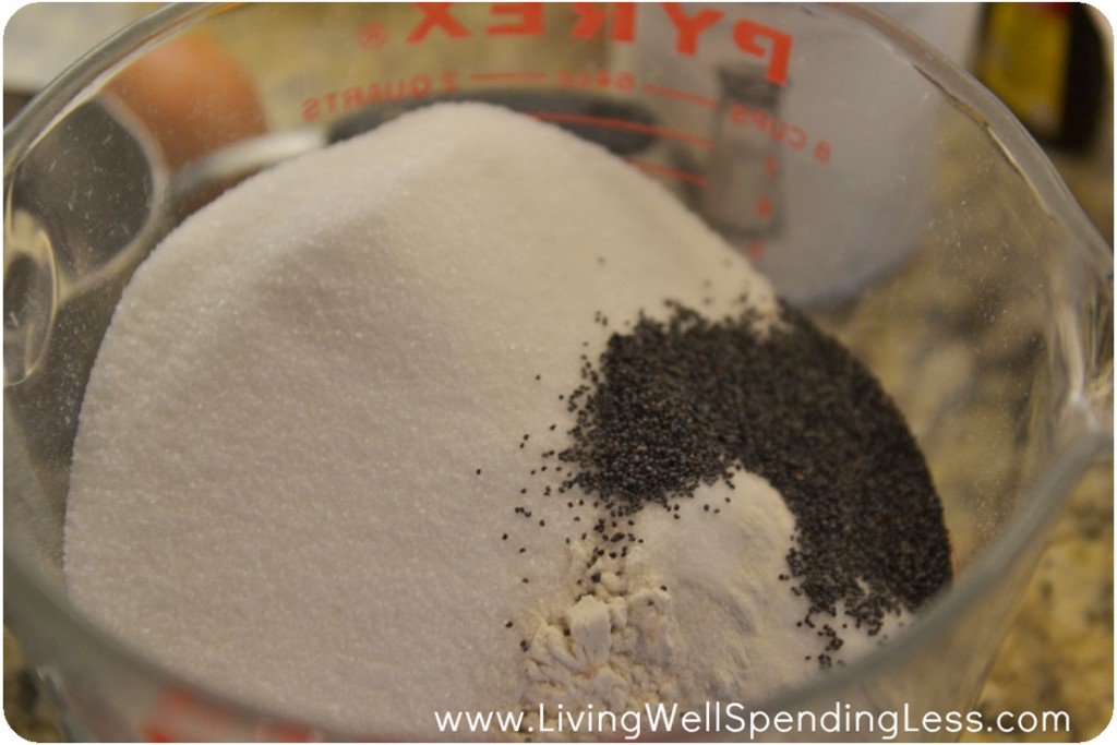 Mix together flour, sugar, baking powder, salt, and poppy seeds together in bowl. 