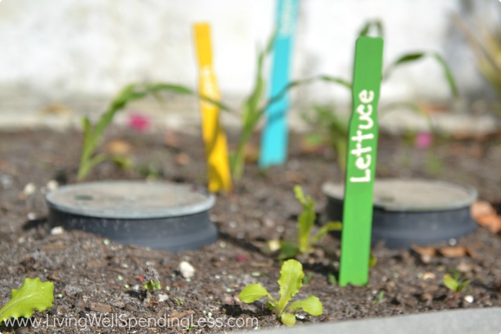 Garden Markers Hacks