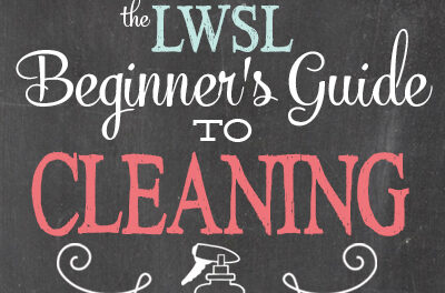 Beginner’s Guide to Cleaning Part 8: Home Maintenance & Seasonal Cleaning