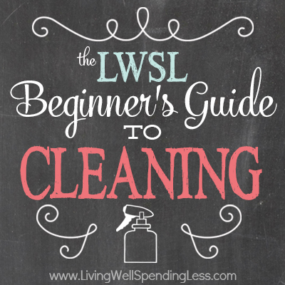 Beginner’s Guide to Cleaning Part 1: Getting Started