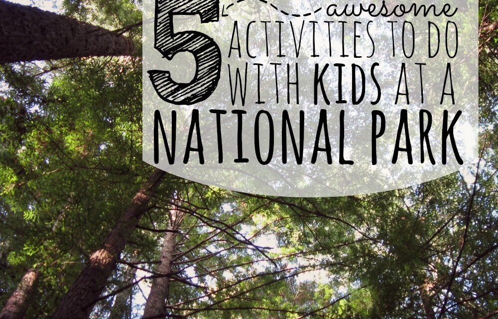 5 Awesome Activities to Do With Kids at a National Park