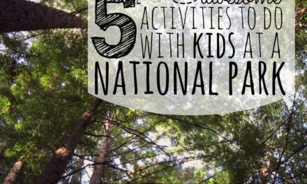 5 Awesome Activities to Do With Kids at a National Park
