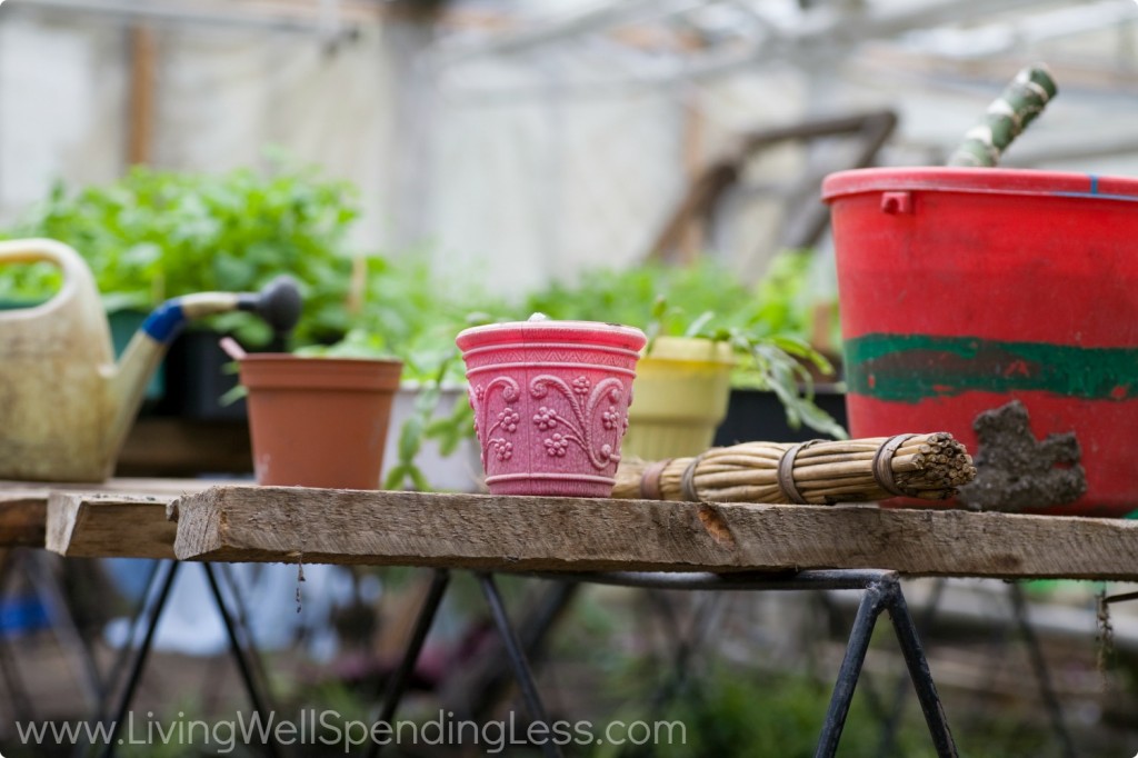 There are so many different size, color, and shape containers to choose from when you start container gardening.