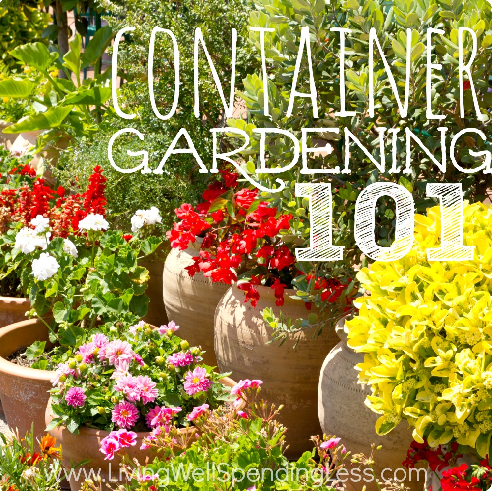 Container Gardening for Beginners | Living Well Spending Less®