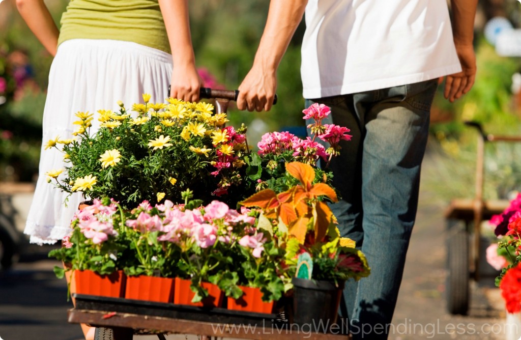 Flowers are a great option for container gardening because they are easy to take care of and look great!