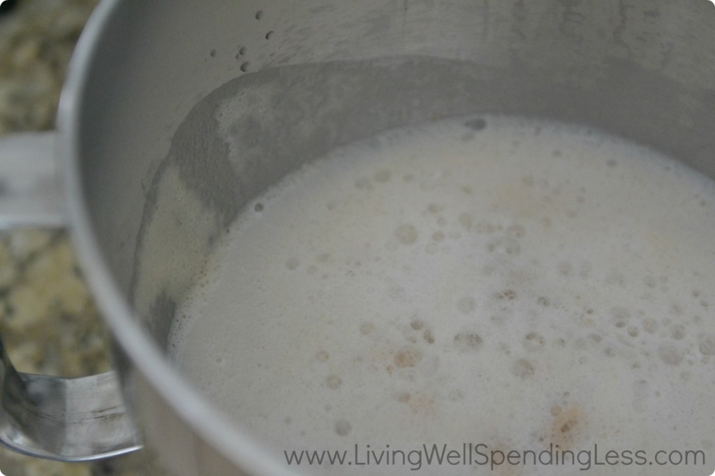 Combine warm water and milk in stand mixer. Then add sugar and yeast and allow the yeast to active for about 5 minutes, or until the mixture begins to bubble. 