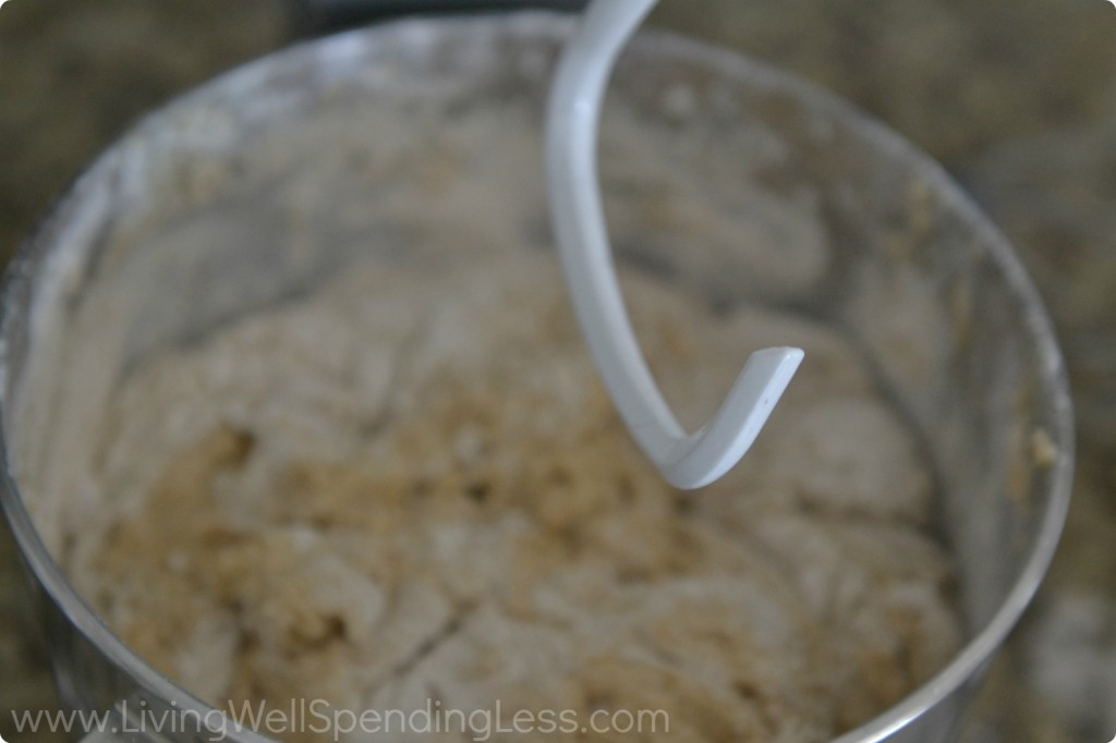 Use the dough hook attachment of your stand mixer to mix the dough for about 10 minutes. 