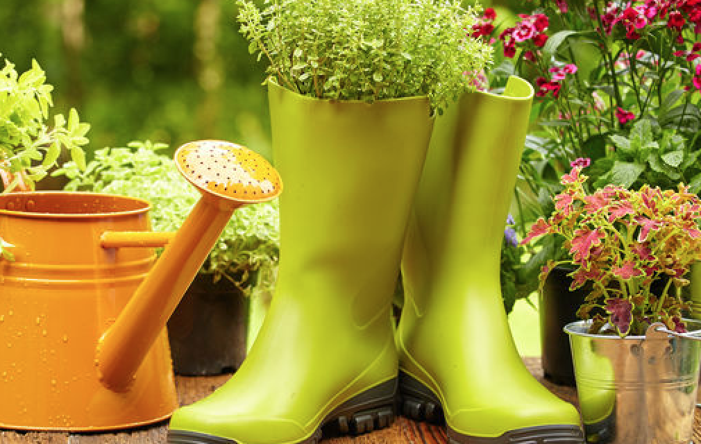 Container Gardening 101