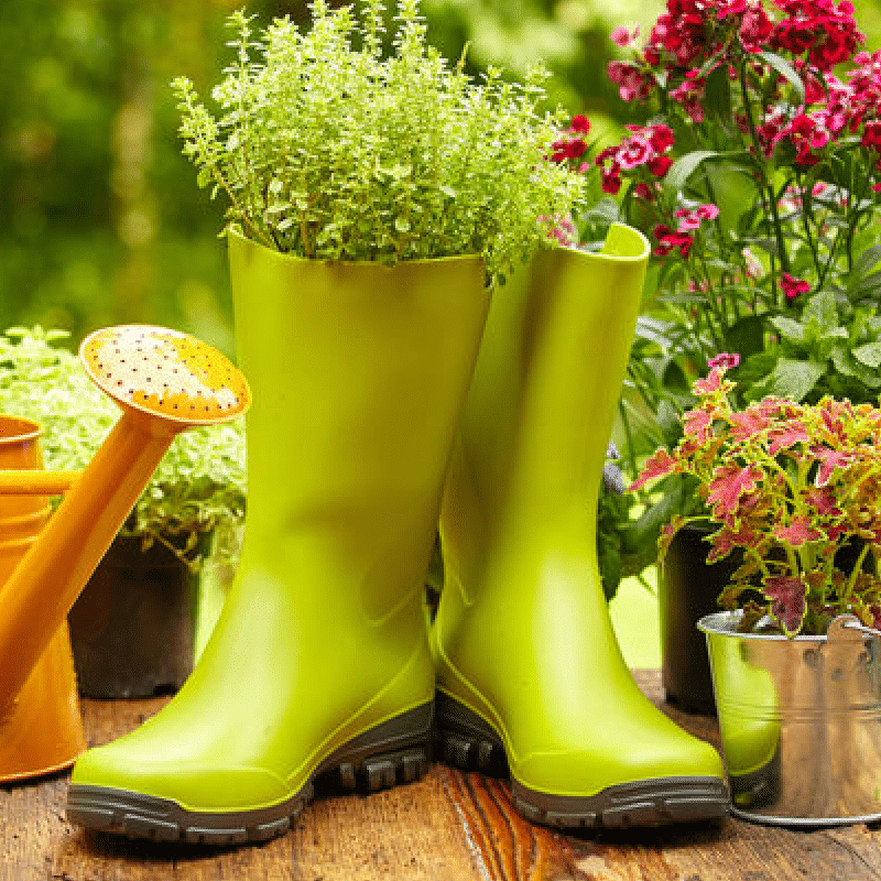 Using Vegetable Grow Bags in the Garden - Melissa K. Norris