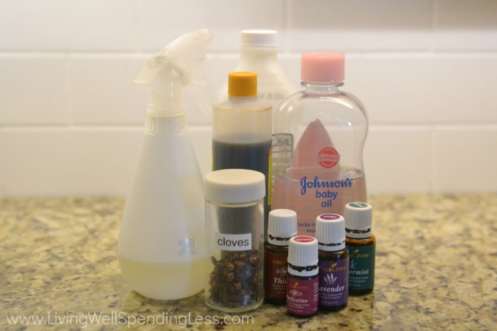 Homemade Bug Spray 1