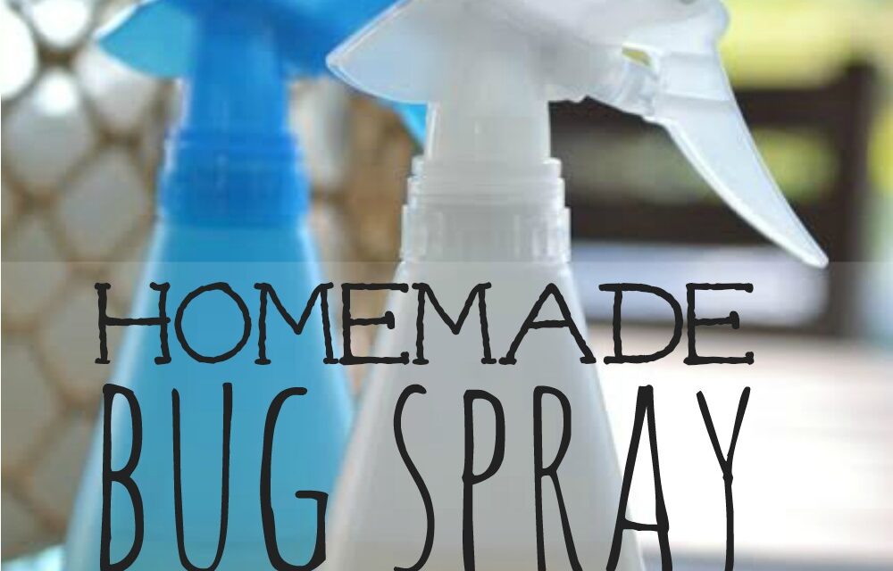 Homemade Bug Spray