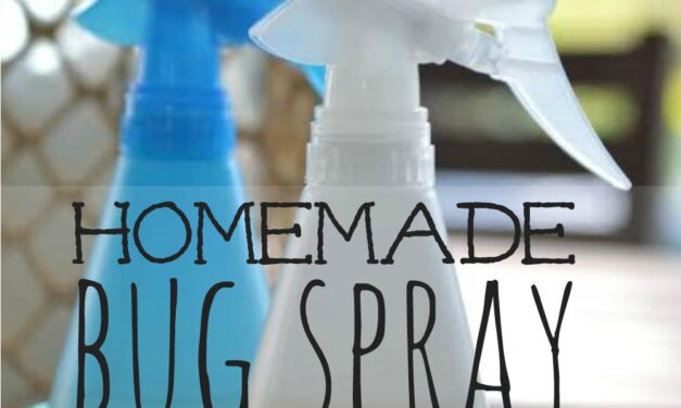 Homemade Bug Spray