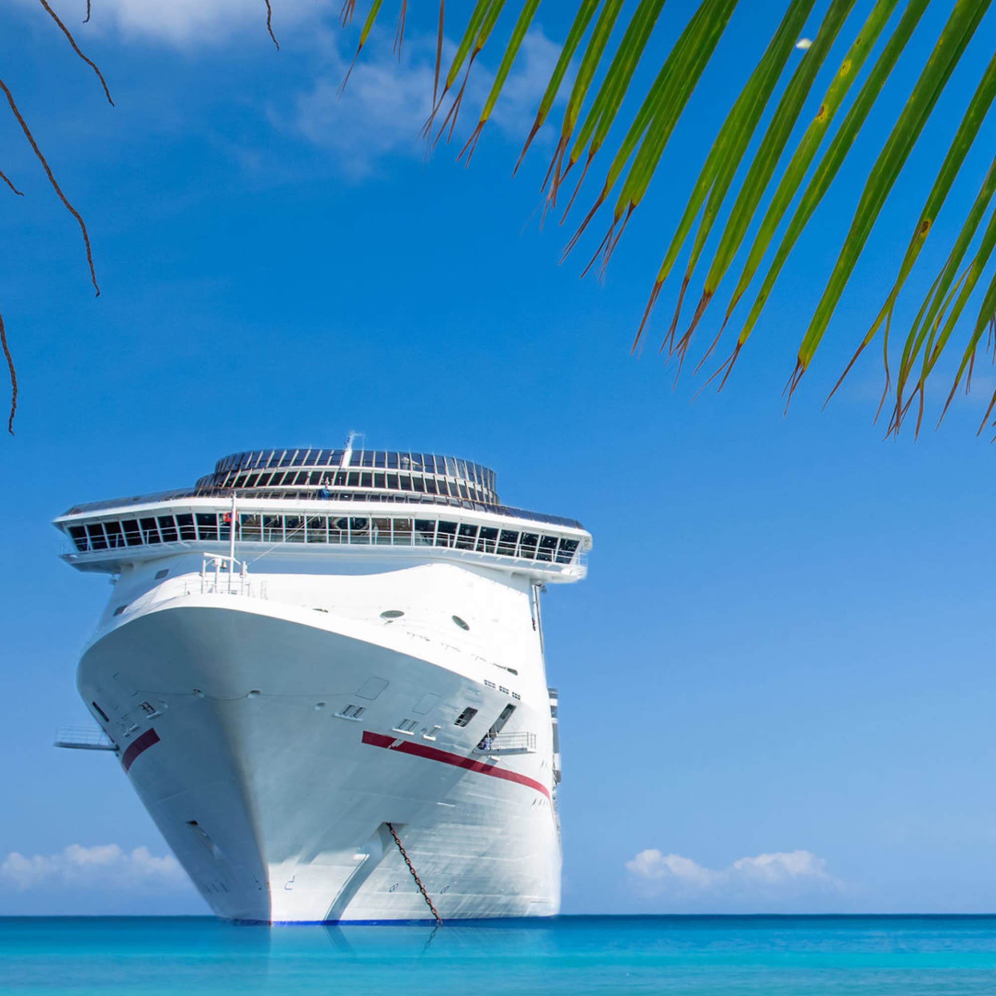 cruise ship secrets revealed