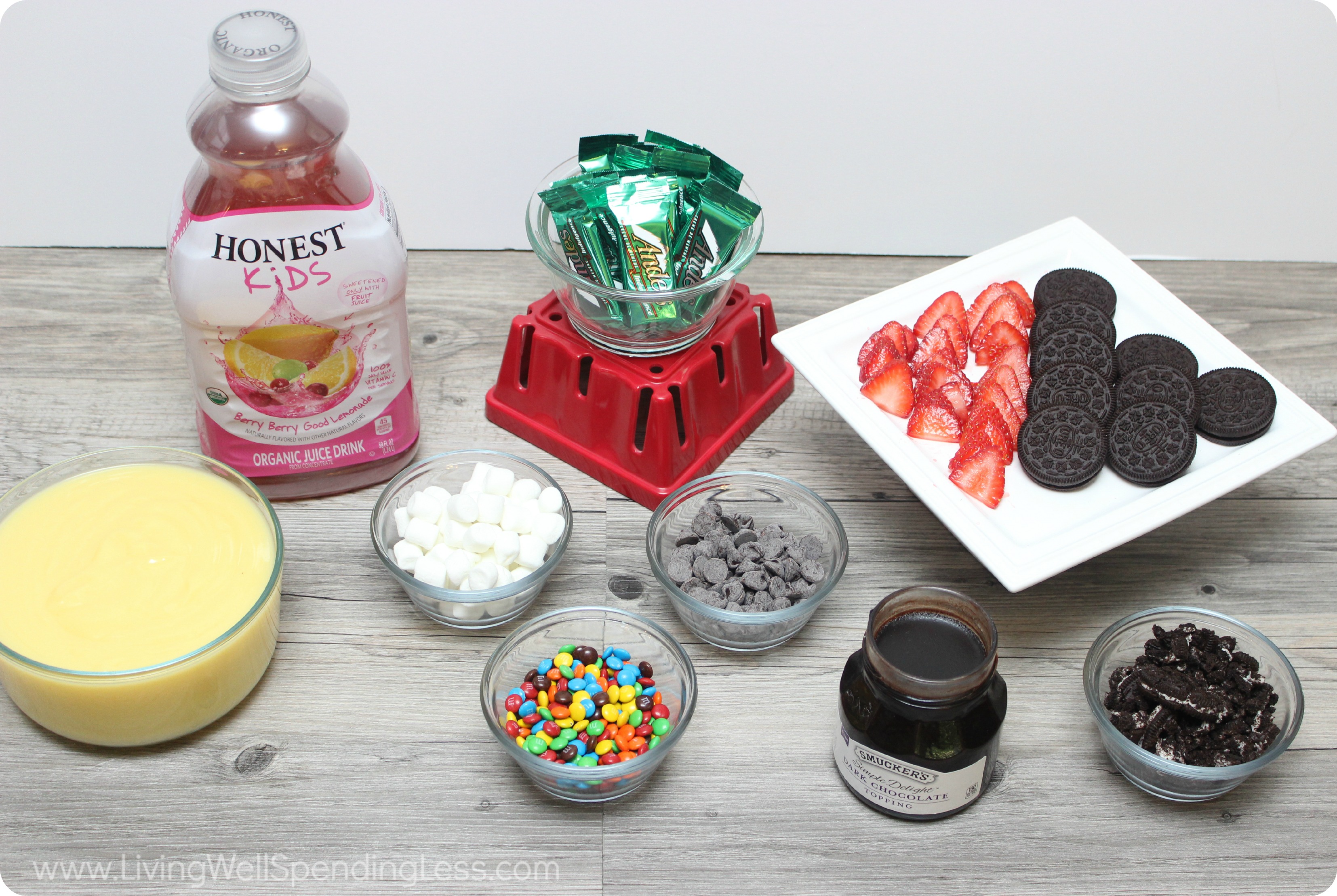Recipe Fun And Easy Diy Popsicles