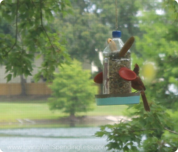 Easy DIY Bird Feeder