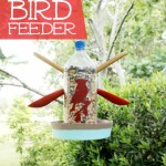 This easy DIY bird feeder is a fun project to create with the kids! You can then spend the next several months together watching all the bird visitors!