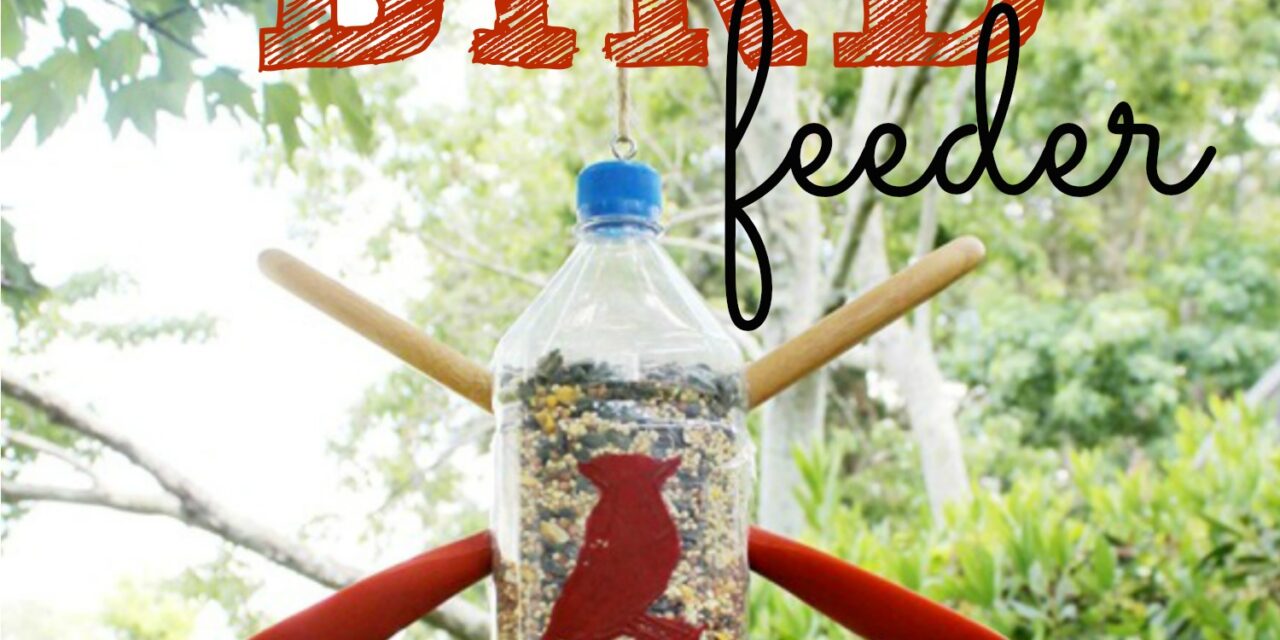 Easy Diy Bird Feeder Living Well Spending Less