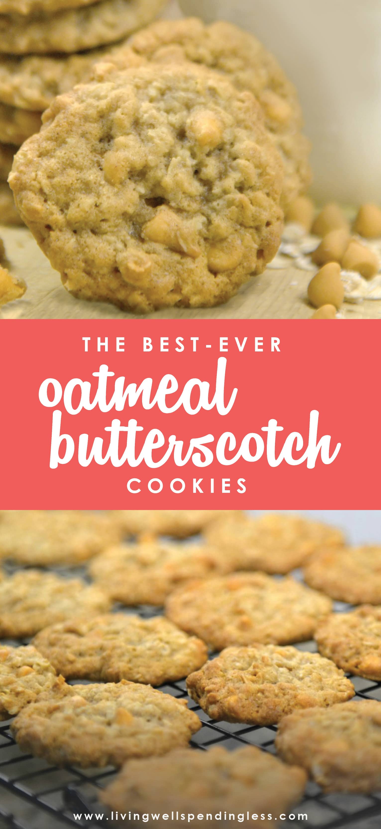 Love homemade cookies but don't always have time for baking? These oh-so-yummy oatmeal butterscotch cookies freeze beautifully and taste just as good straight out of the freezer as straight out of the oven!
Oatmeal Butterscotch Cookies | DIY Oatmeal Cookie Recipes | Easy Yummy Cooki Recipe | Yummy Oatmeal Butterscotch Cookies | Oatmeal Scotchies