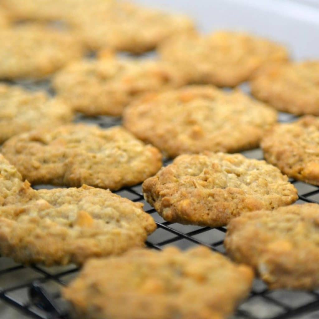 Oatmeal Butterscotch Cookies Best Oatmeal Cookie Recipe
