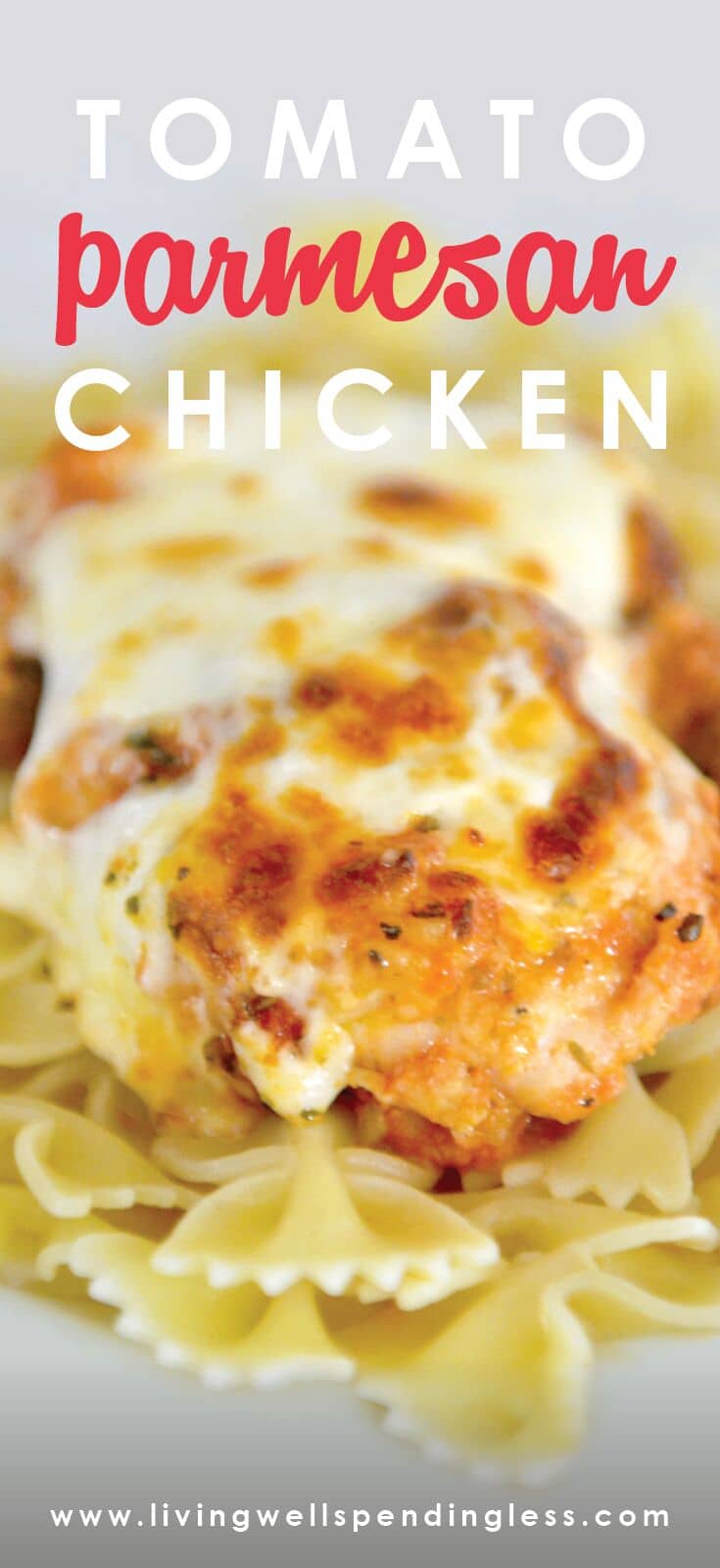 Tomato Parmesan Chicken | Chicken Recipe | Easy Tomato Parmesan Chicken | Freezer Meals | 10 Meals in an Hour