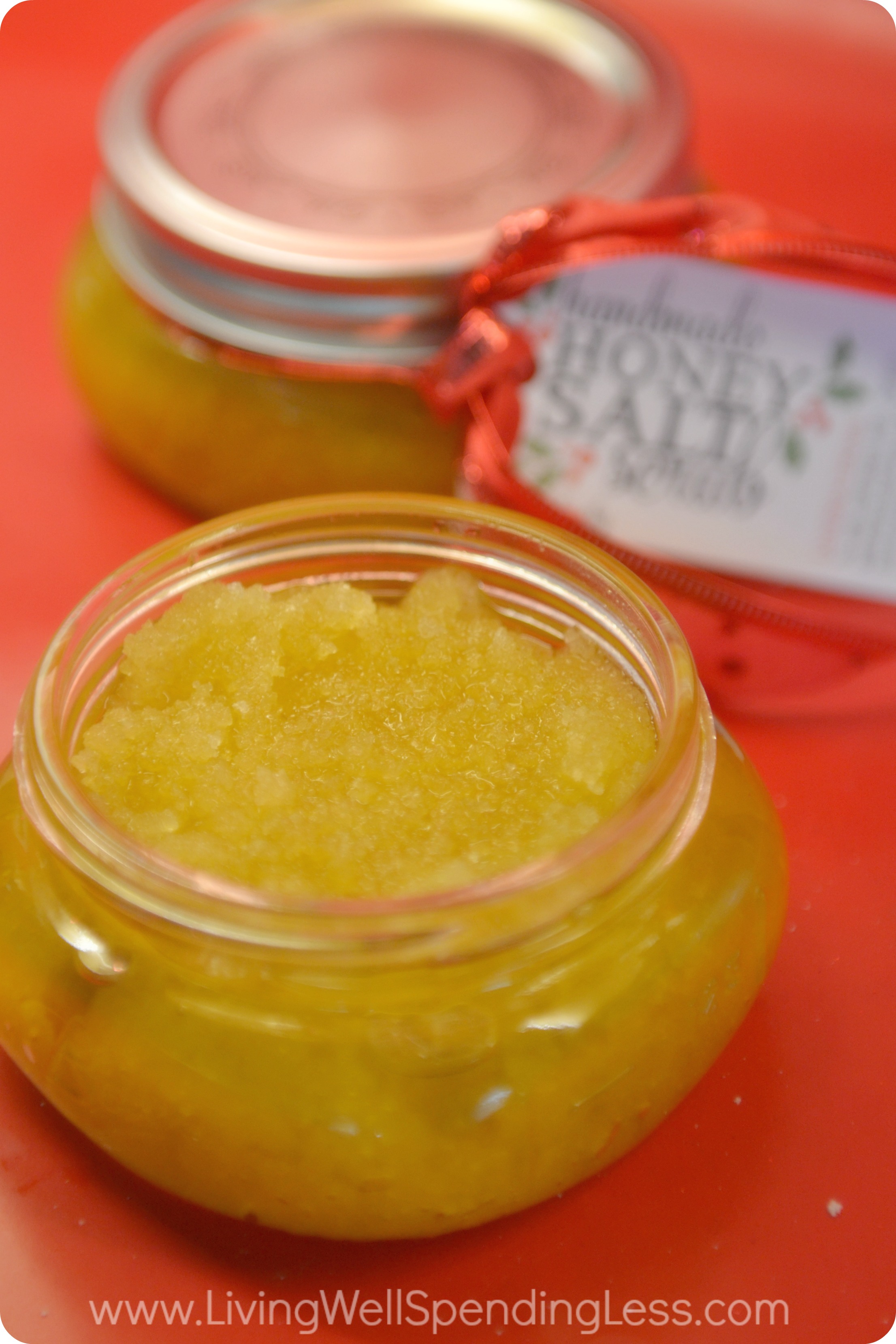SALT SCRUB 10 Vertical Living Well Spending Less®