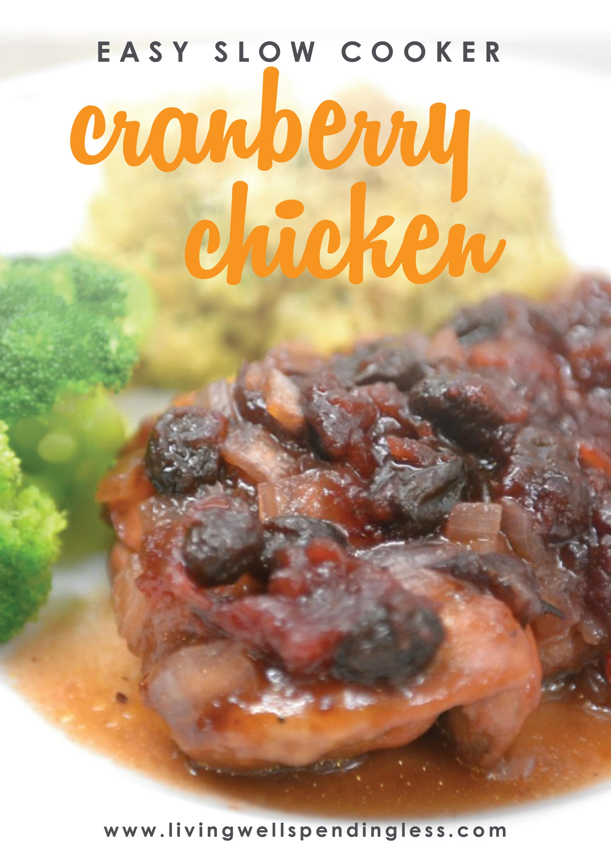 Easy Slow Cooker Cranberry Chicken Best Cranberry Chicken Recipe