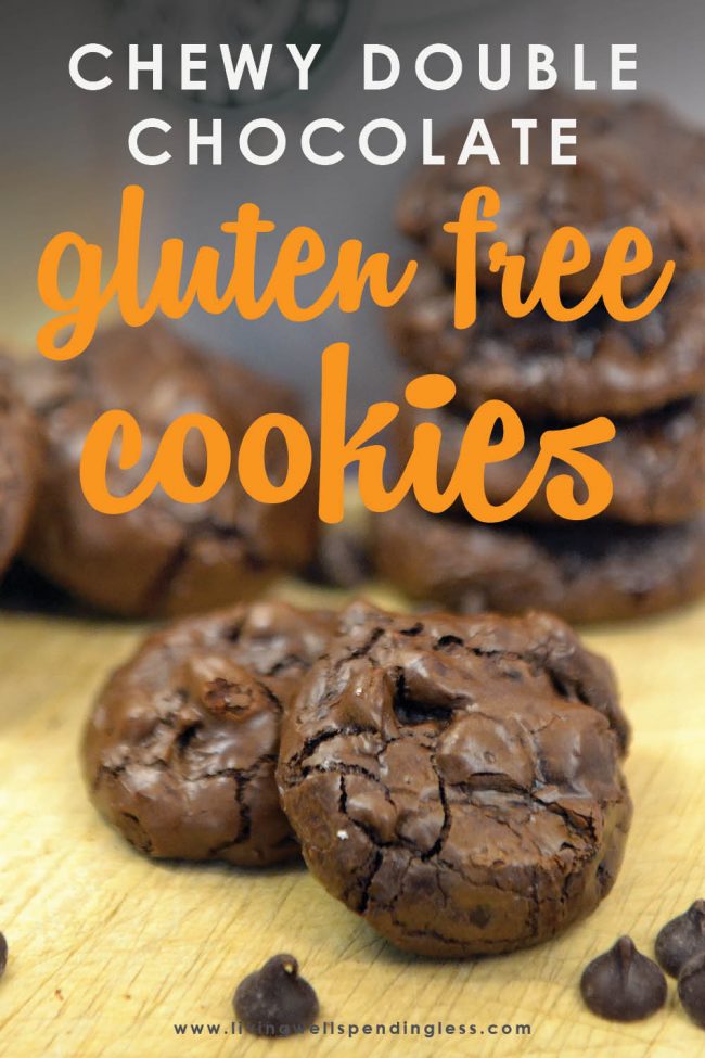 What's better than a dense, rich, chewy flourless chocolate cookie? One that is gluten free, low in calories and ridiculously easy-to-make!