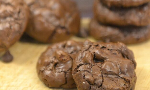 Chewy Double Chocolate Insanity Cookies-Flourless, Gluten Free, and Delicious!