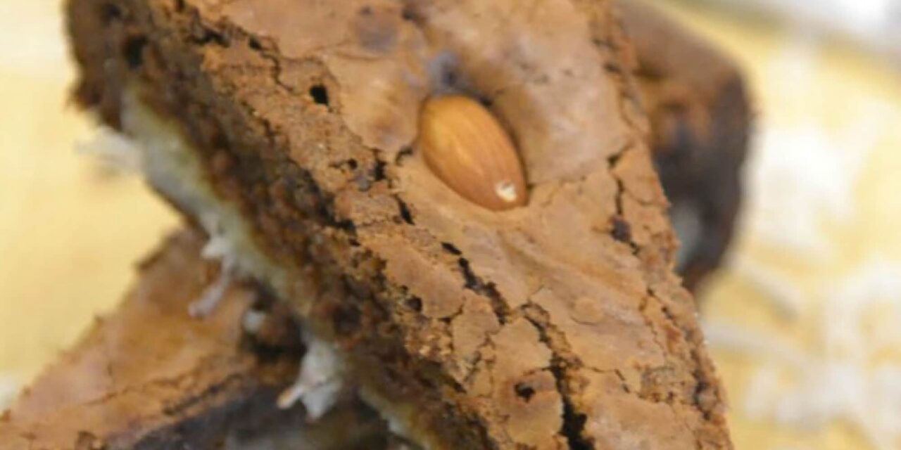 Flourless Almond Joy Cake