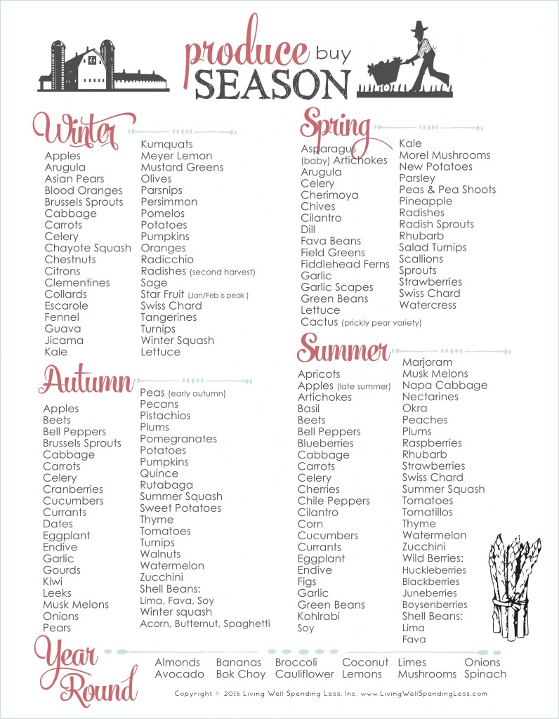 Produce By Season - When to Buy the Best Produce - Free Printable from Living Well Spending Less