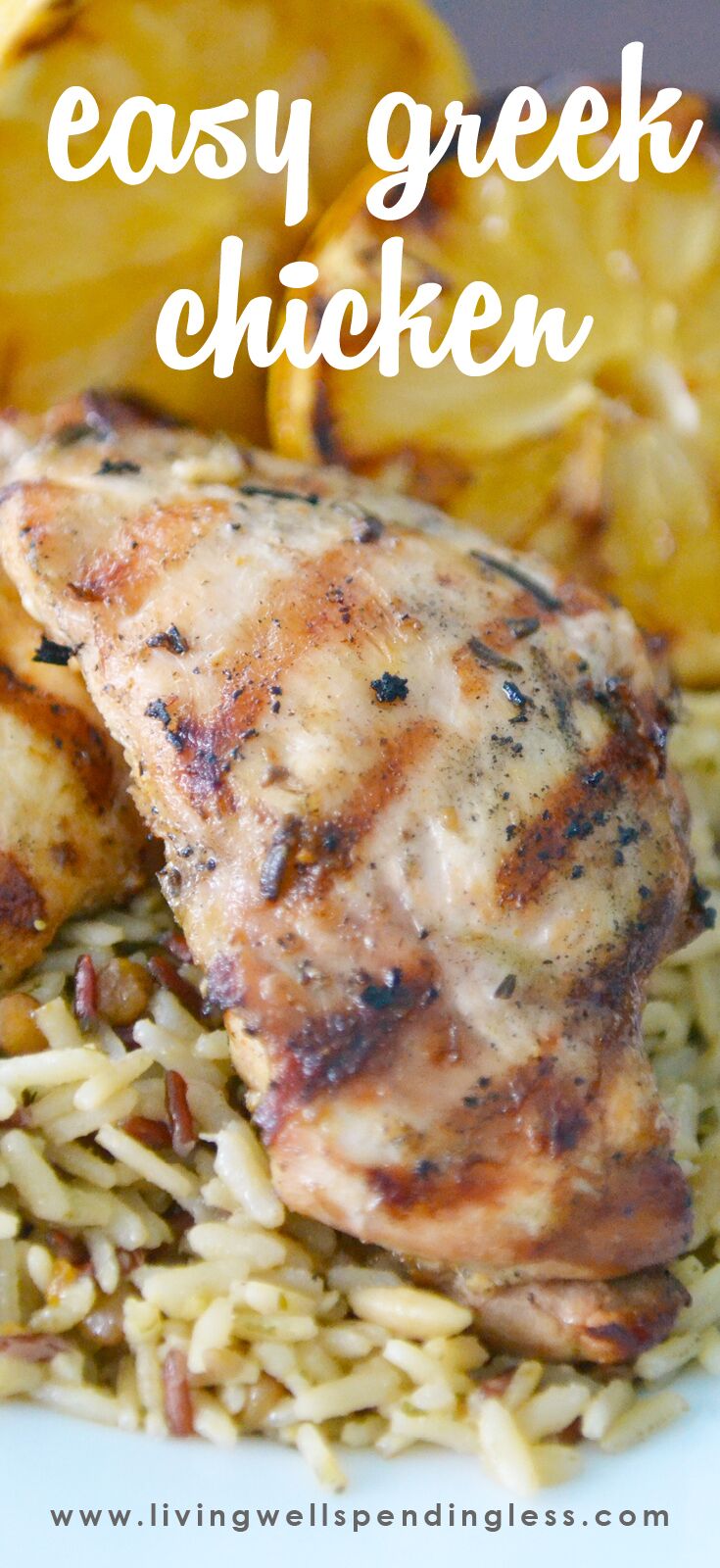 Easy Greek Chicken | Greek Chicken Recipe | Chicken Recipes | One Pan Greek Chicken | Easy Greek Chicken Bake | Freezer Meals | 10 Meals in an Hour | 5 Ingredients Meal | Main Course Ideas