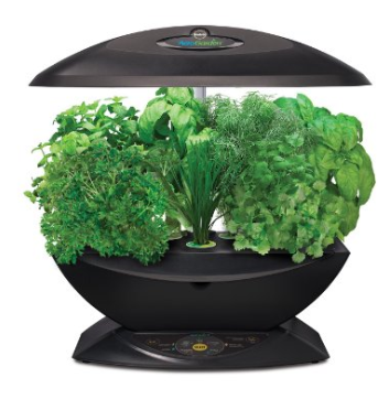 A counter top herb grower is a great way to have fresh herbs all year round. 