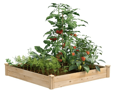 raised garden beds to help prevent weed growth.