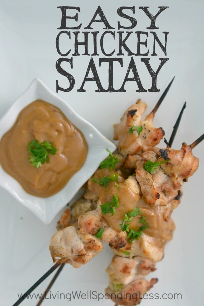 Easy Chicken Satay | 10 Meals in an Hour | Freezer Cooking | Main Course Meat | Chicken Recipes