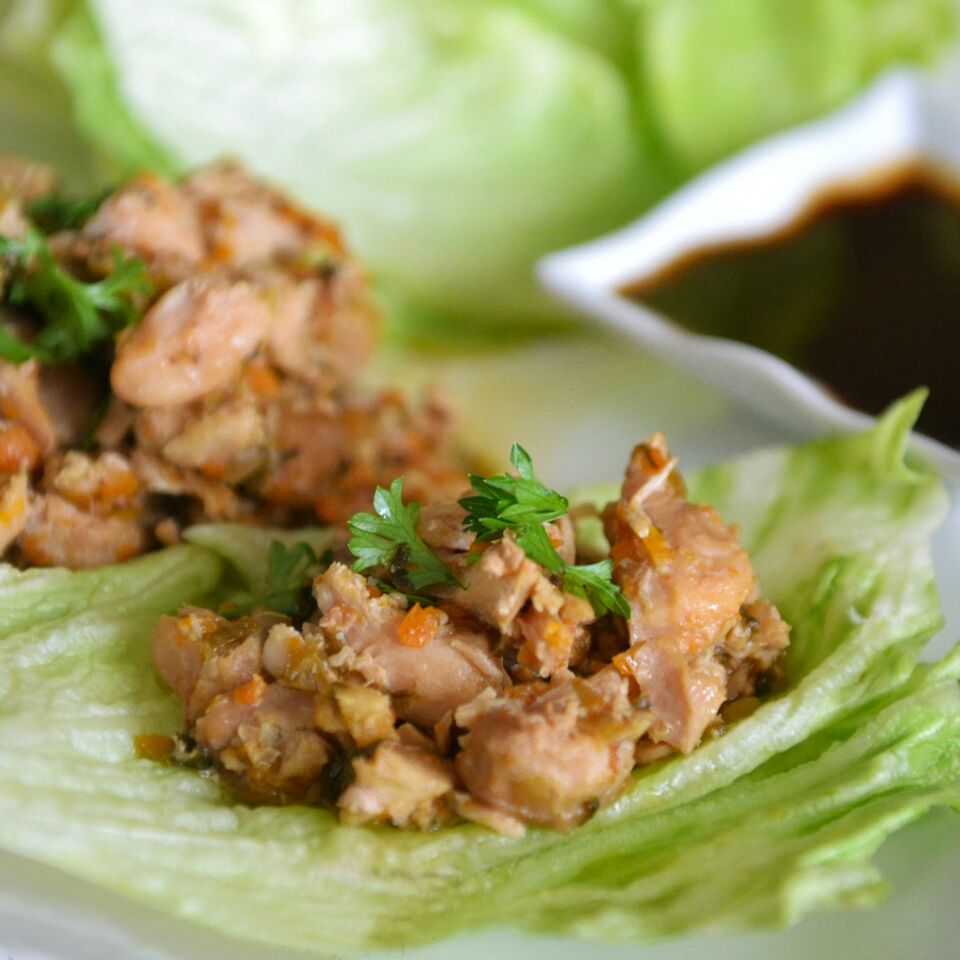 Easy Crockpot Lettuce Wraps Living Well Spending Less®