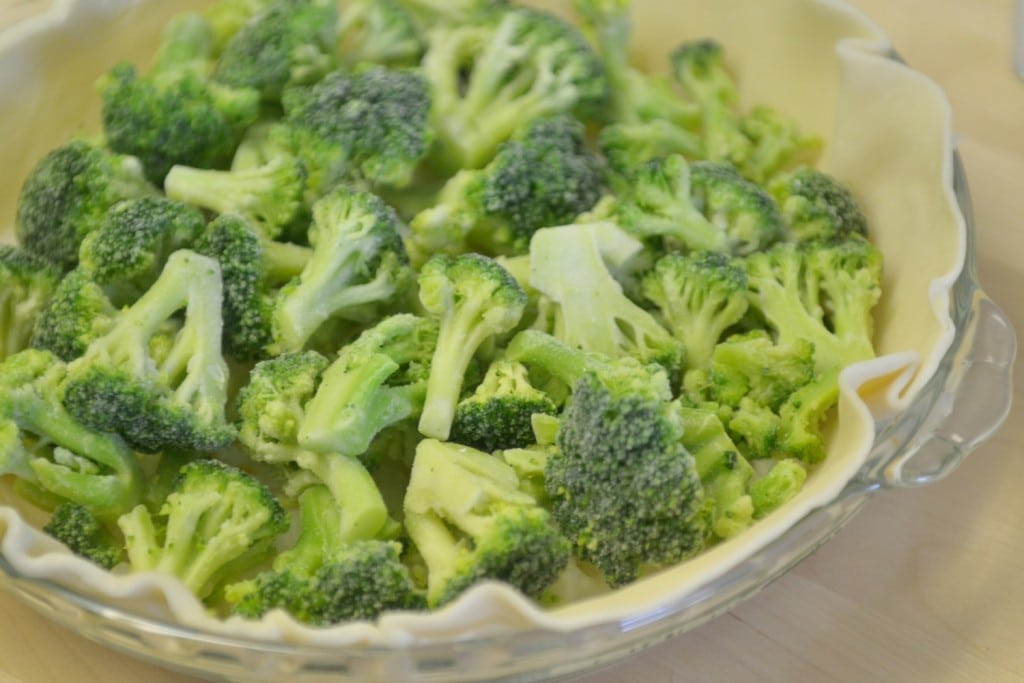 Spread the broccoli in the prepared pie crust. 