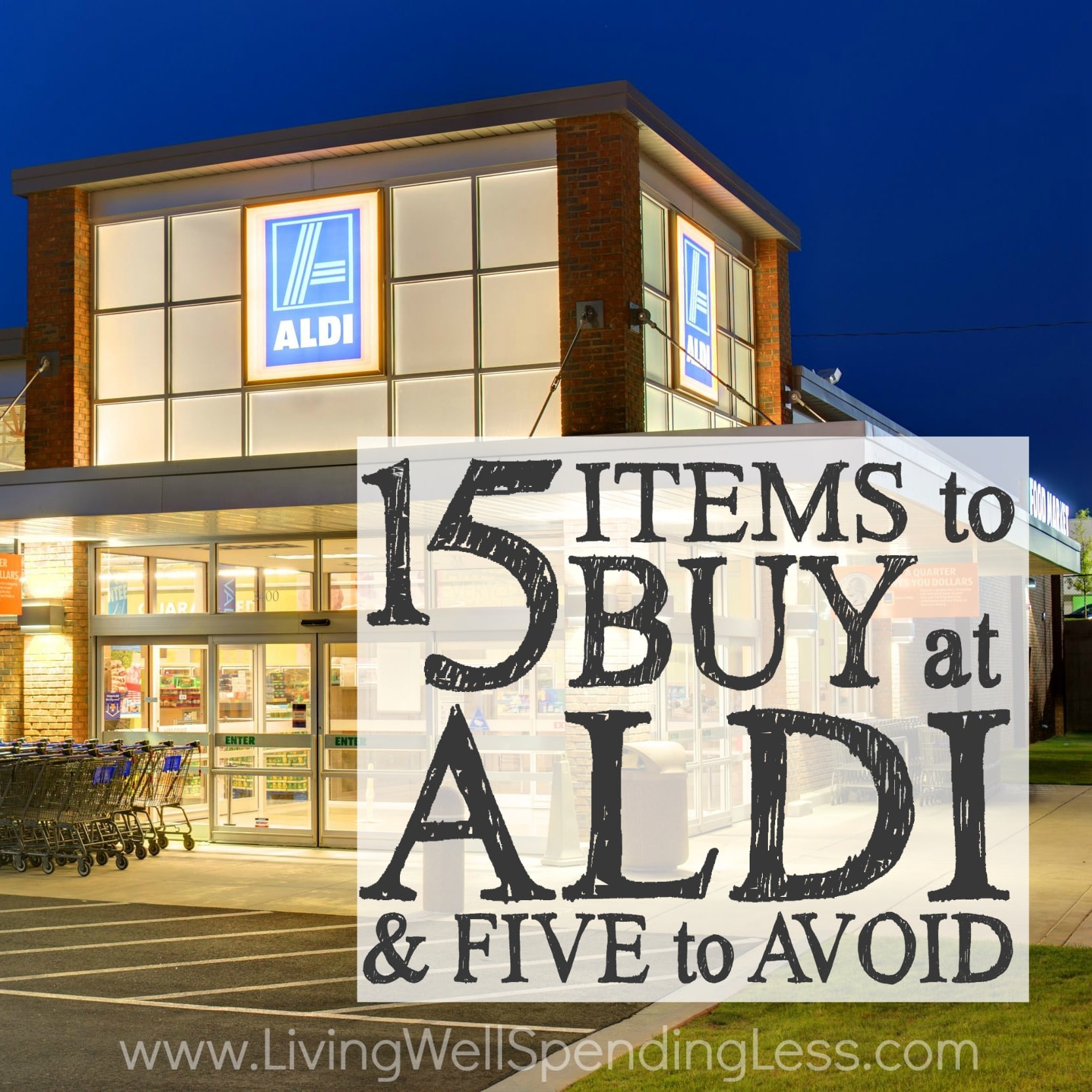 15 Items to Buy at Aldi (& 5 to Avoid) Living Well Spending Less®