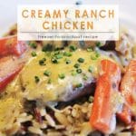 Creamy Ranch Chicken | Food Made Simple | Freezer Cooking | Freezer Meals | Main Course Meat | Chicken Recipes