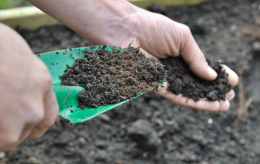 When you're ready to plant in your garden, spread your compost pile into the dirt. 