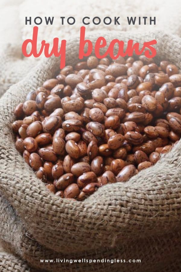 Beans sometimes get a bad rap, but few foods are more nutritious AND budget friendly! If you've never tried cooking with dry beans, here is everything you need to know, plus lots of great recipe ideas to get you started. Your wallet and your stomach will thank you!
